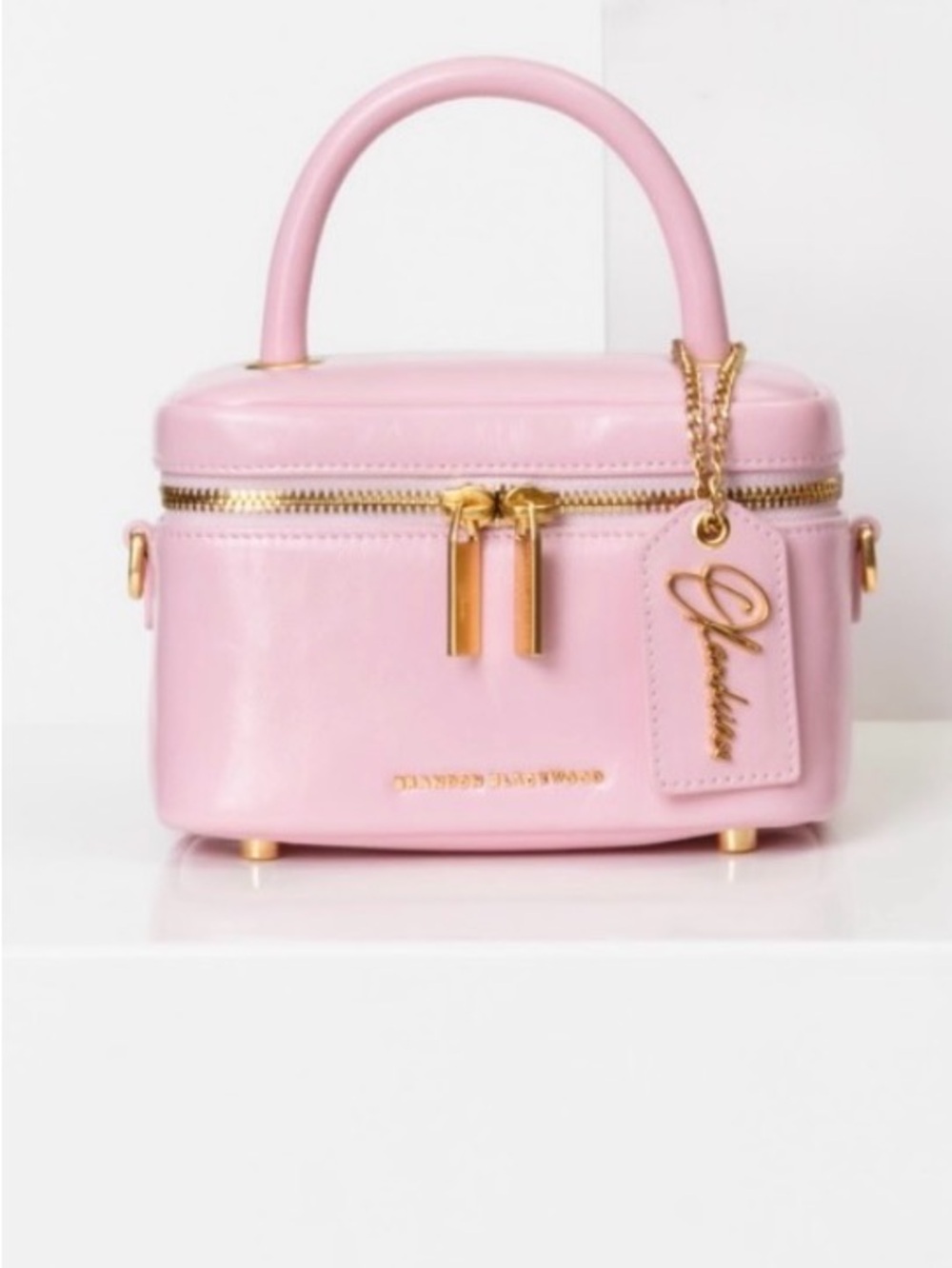 NWT Viral Brandon Blackwood x Olandria O vanity purse Pink!